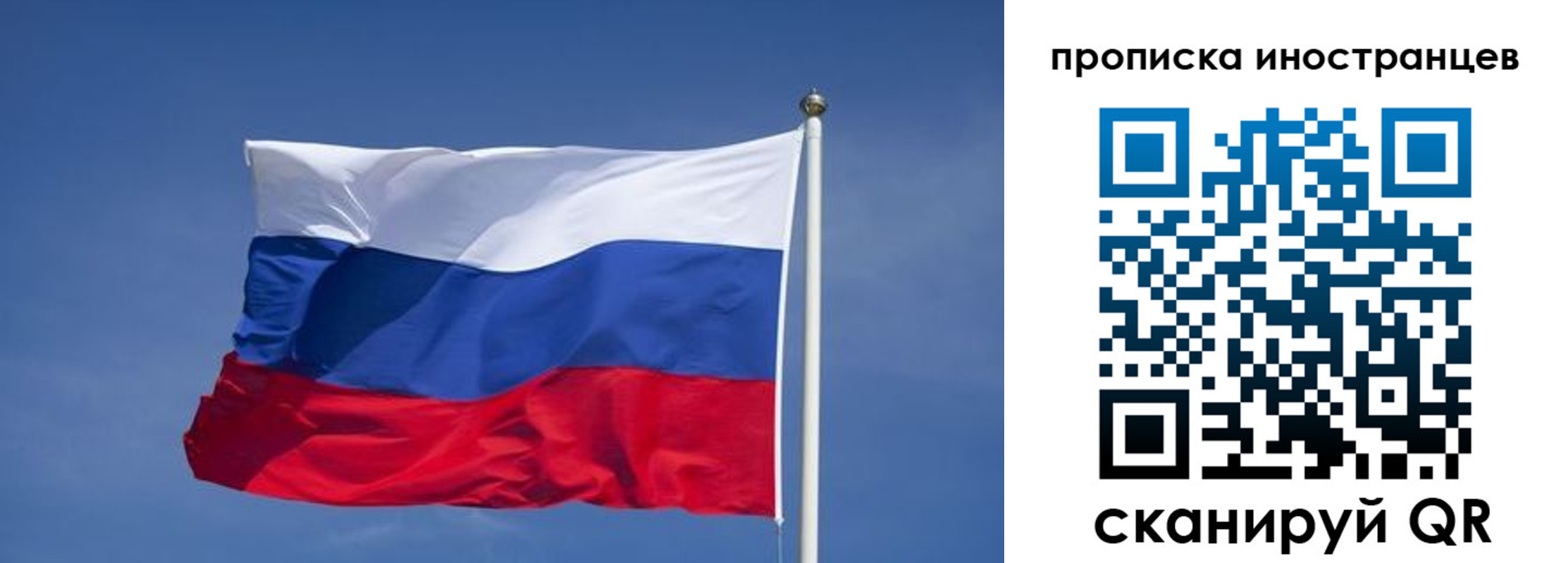 найти адрес прописки в Выборге